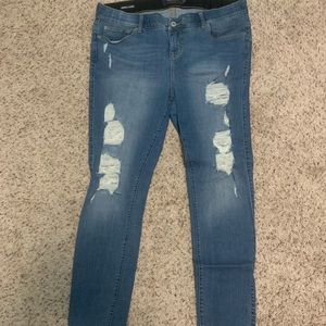 Torrid Jeans